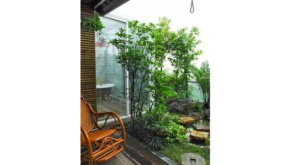 院子里种植梅树的风水好处-e家网