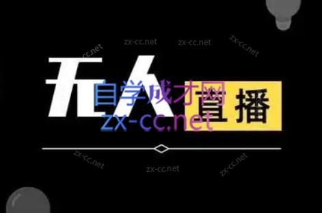 宝子哥·无人直播-非实时防风技术(更新3月)-e家网