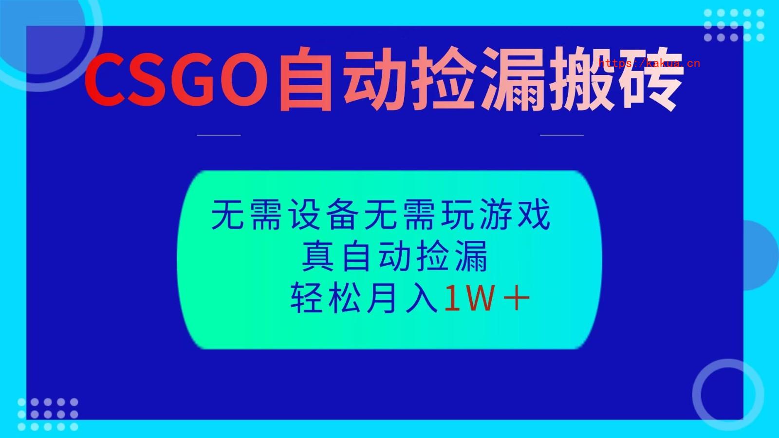 CSGO自动捡漏搬砖，当天操作当天见结果，无需了解游戏，包教包会包落地-e家网